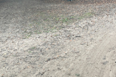 9DD44AC7-B301-46E1-A030-122A15030727